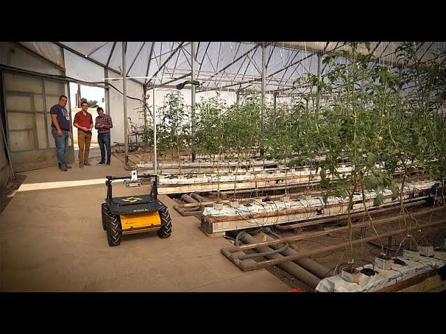 Startups-y-la-revolucion-de-la-agricultura-inteligente-Tecnologias-emergentes | 49k Noticias