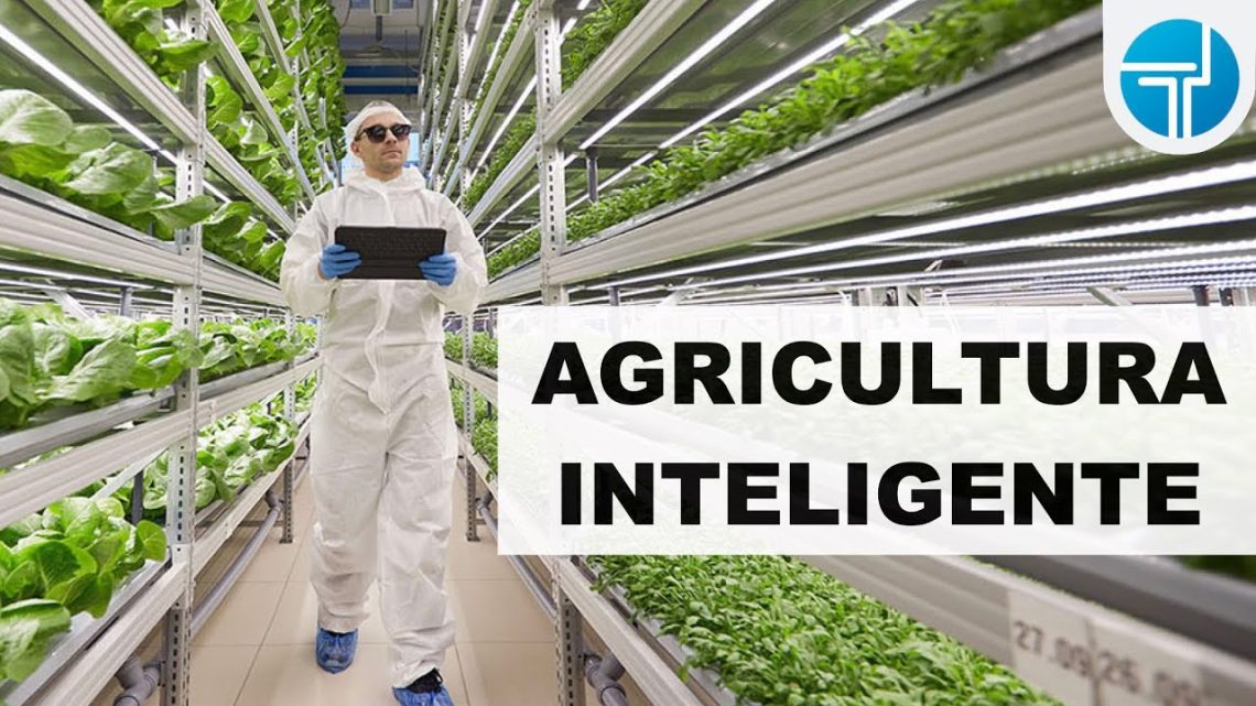 Startups y la revolución de la agricultura vertical: Tecnologías agrícolas sostenibles