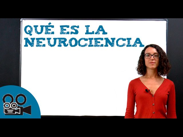 Como-Utilizar-la-Neurociencia-en-el-Desarrollo-de-Productos-de-Startup | 49k Noticias