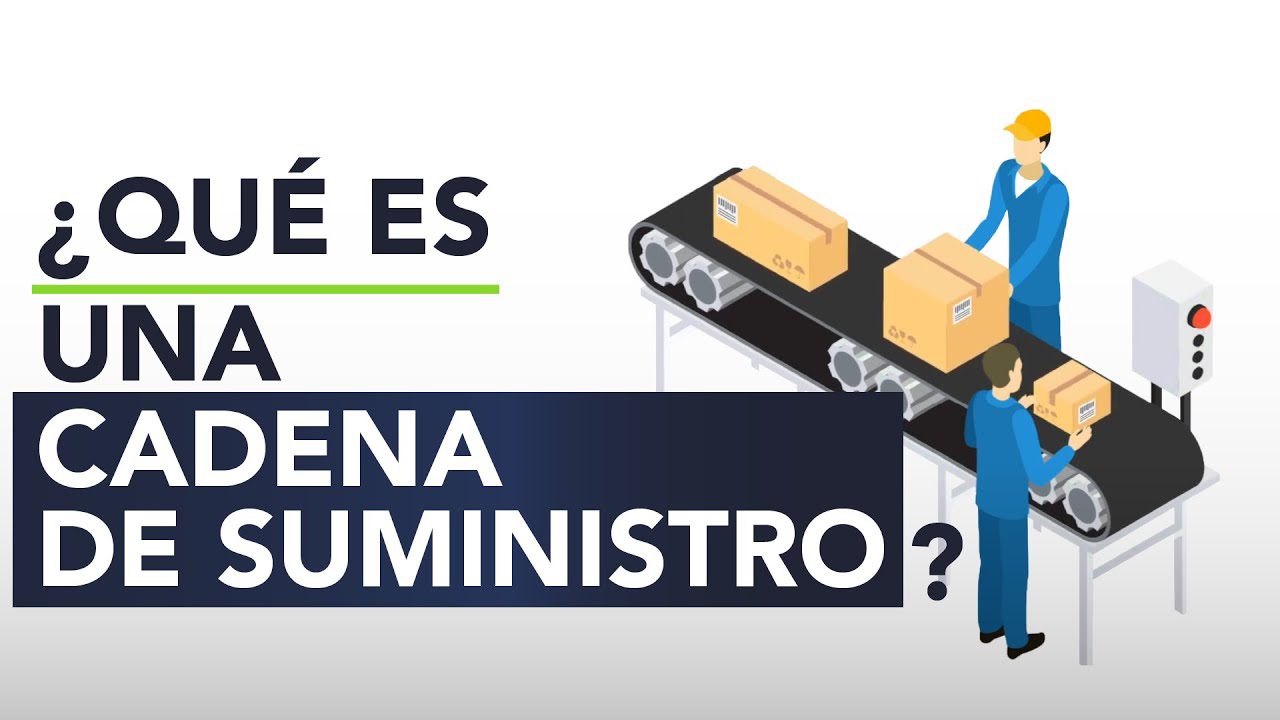 El-papel-de-la-sostenibilidad-en-la-cadena-de-suministro-empresarial | 49k Noticias