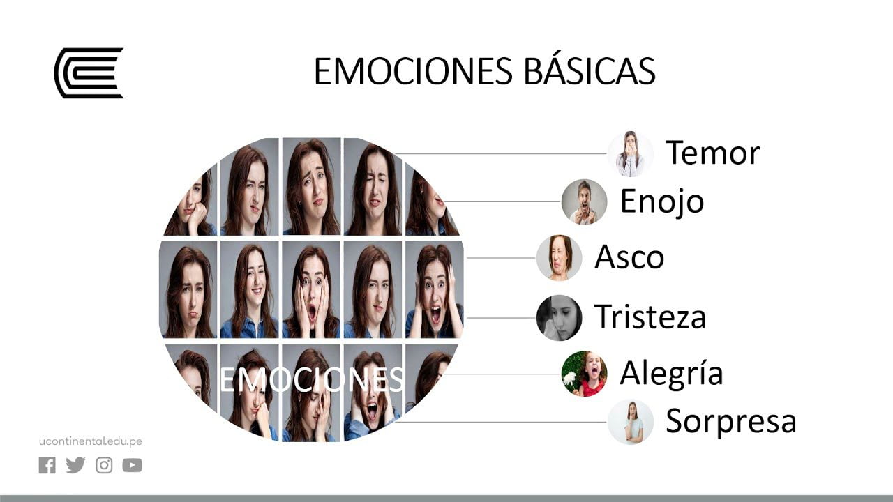 Startups-y-Tecnologias-de-Reconocimiento-de-Emociones-Aplicaciones-Practicas | 49k Noticias