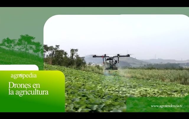 Startups y Tecnologías de Drones en la Agricultura de Precisión