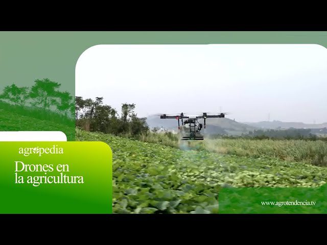 Startups-y-Tecnologias-de-Drones-en-la-Agricultura-de-Precision-1 | 49k Noticias