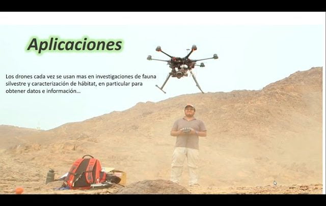 Startups y Tecnologías de Drones en la Observación de Vida Silvestre