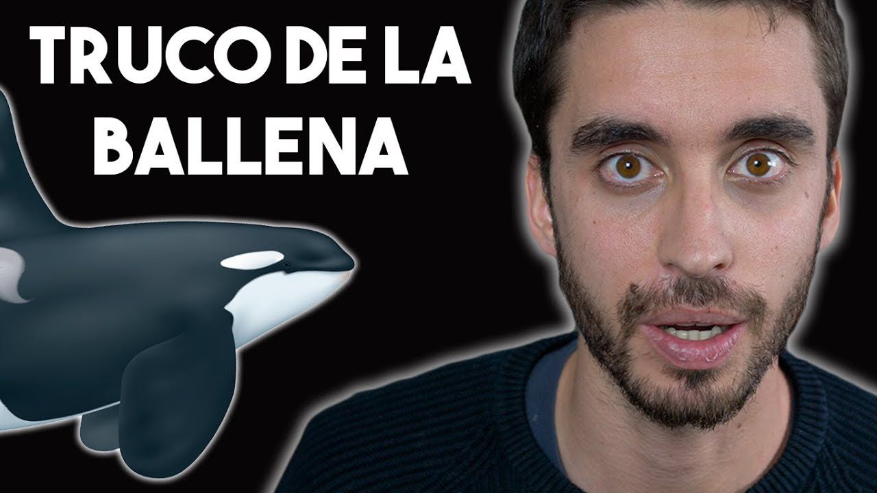 Como-gestionar-el-crecimiento-rapido-de-una-startup-tech | 49k Noticias Cómo gestionar el crecimiento rápido de una startup tech
