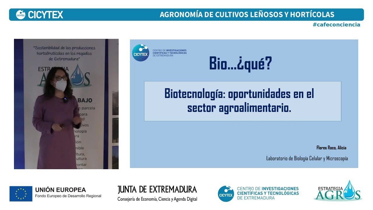 Como-aprovechar-las-oportunidades-en-el-sector-de-biotecnologia-agricola | 49k Noticias Cómo aprovechar las oportunidades en el sector de biotecnología agrícola