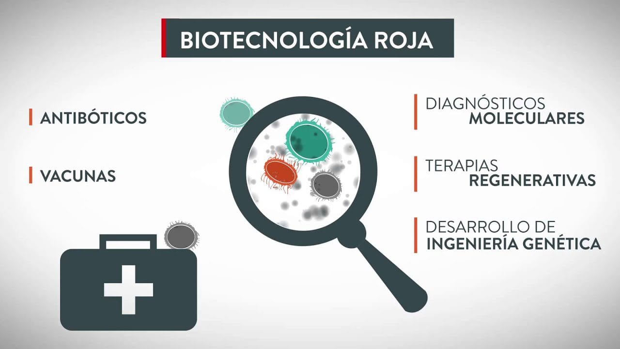 Las-mejores-practicas-para-el-lanzamiento-de-productos-de-biotecnologia | 49k Noticias Las mejores prácticas para el lanzamiento de productos de biotecnología