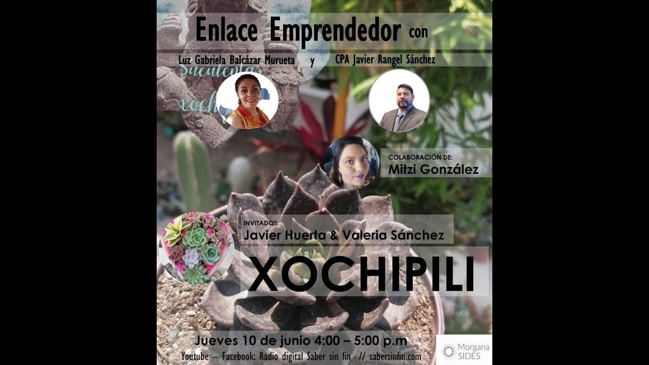 xochipilli emprendimiento
