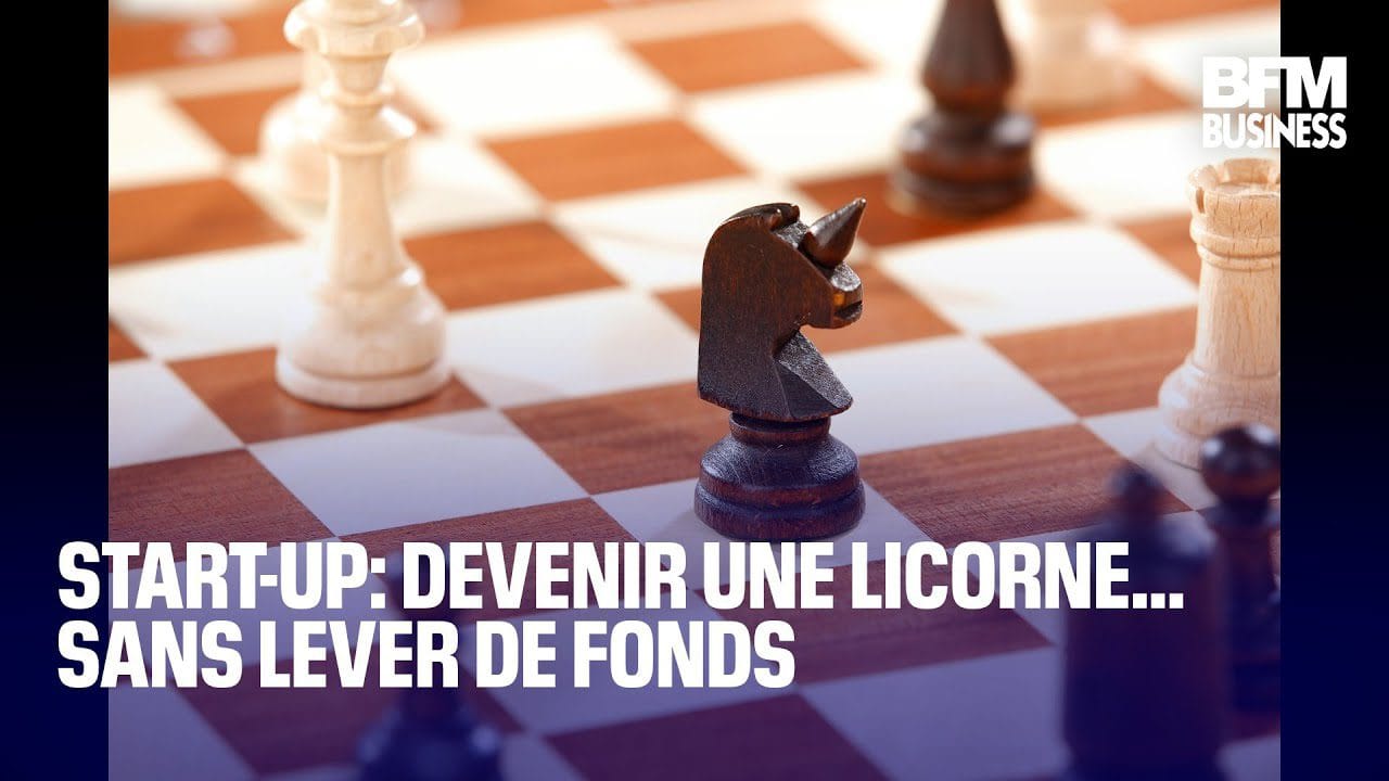 startups-unicorns | 49k Noticias startups unicorns