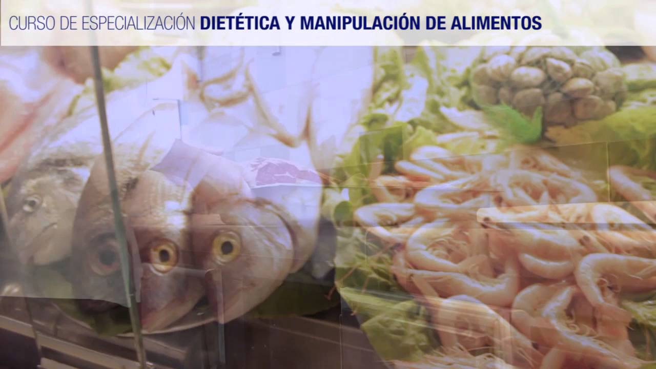 DIETETICA-Y-MANIPULACION-DE-ALIMENTOS | 49k Noticias DIETÉTICA Y MANIPULACIÓN DE ALIMENTOS